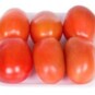 Tomate Italiano Kg Bdj