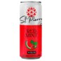 Suplemento Alim.st.pierre 310ml Red Mint